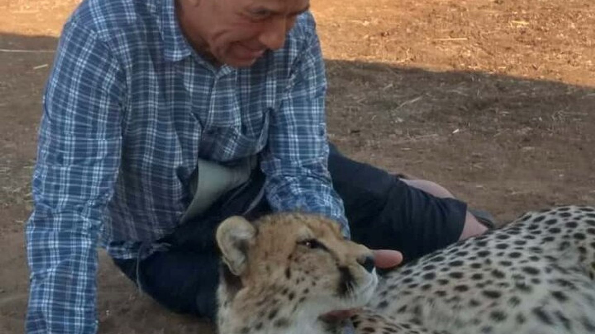 The Cheetah Experience