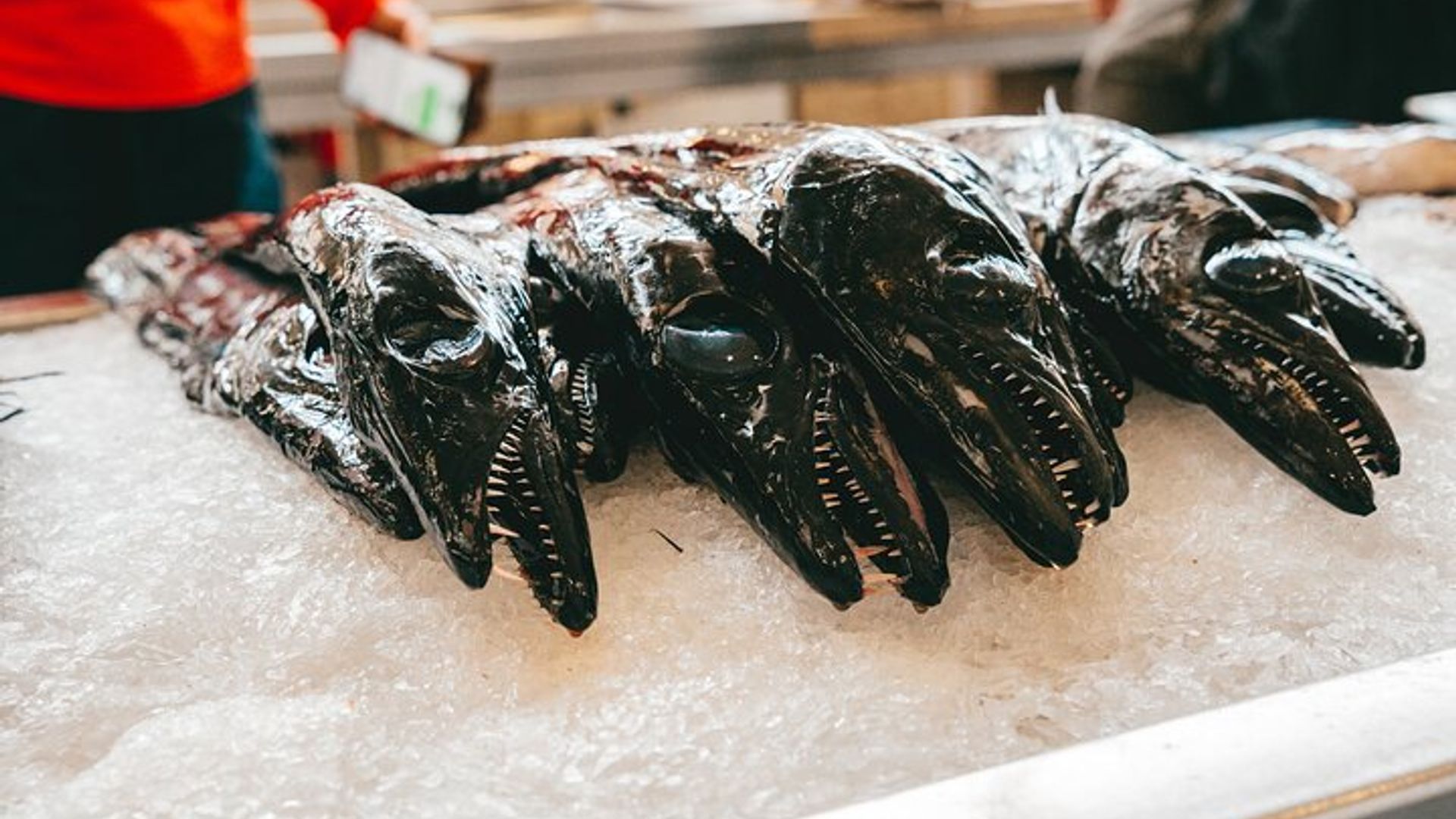 Madeira Tour in kleiner Gruppe Essen, Wein und Kultur