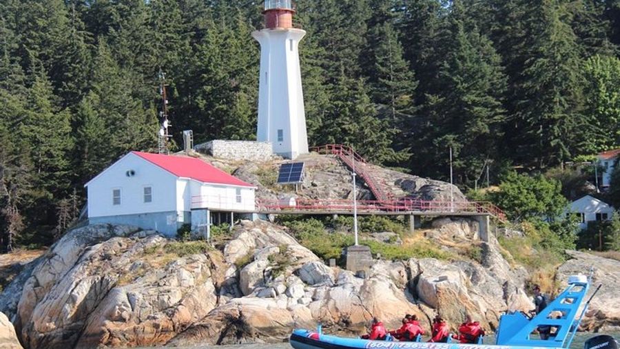 Vancouver City and Seal Colony Boat Tour