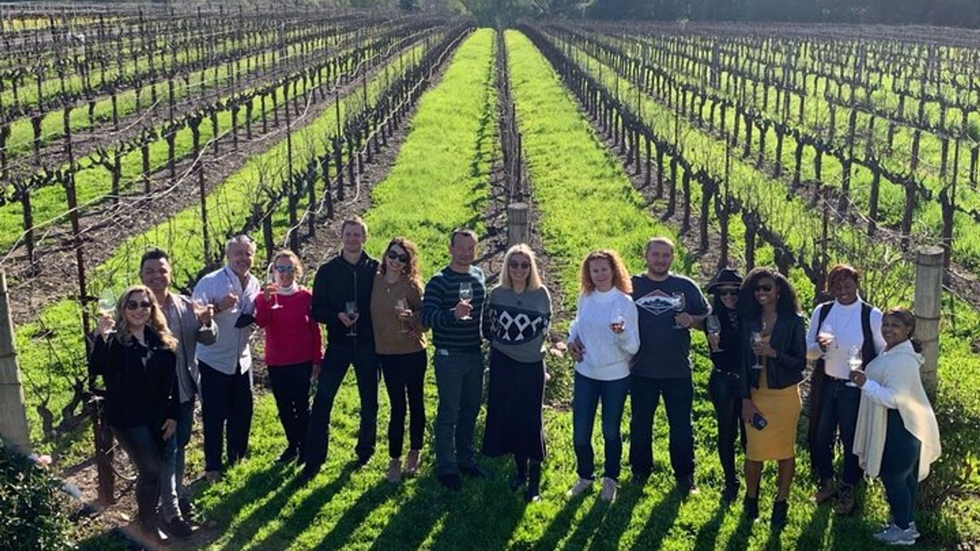 Napa and Sonoma Full-Day Wine Tour from San Francisco image 1