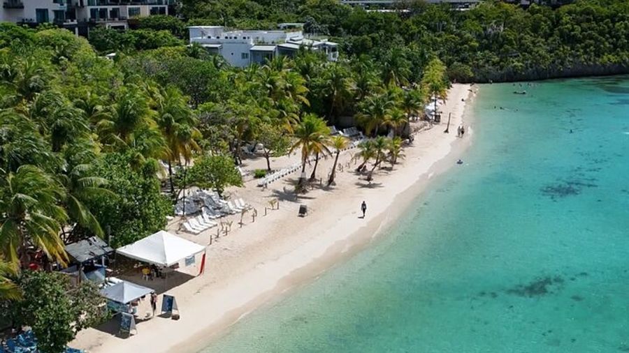 Roatan Sloth and Monkey Sanctuary with West Bay Beach Break