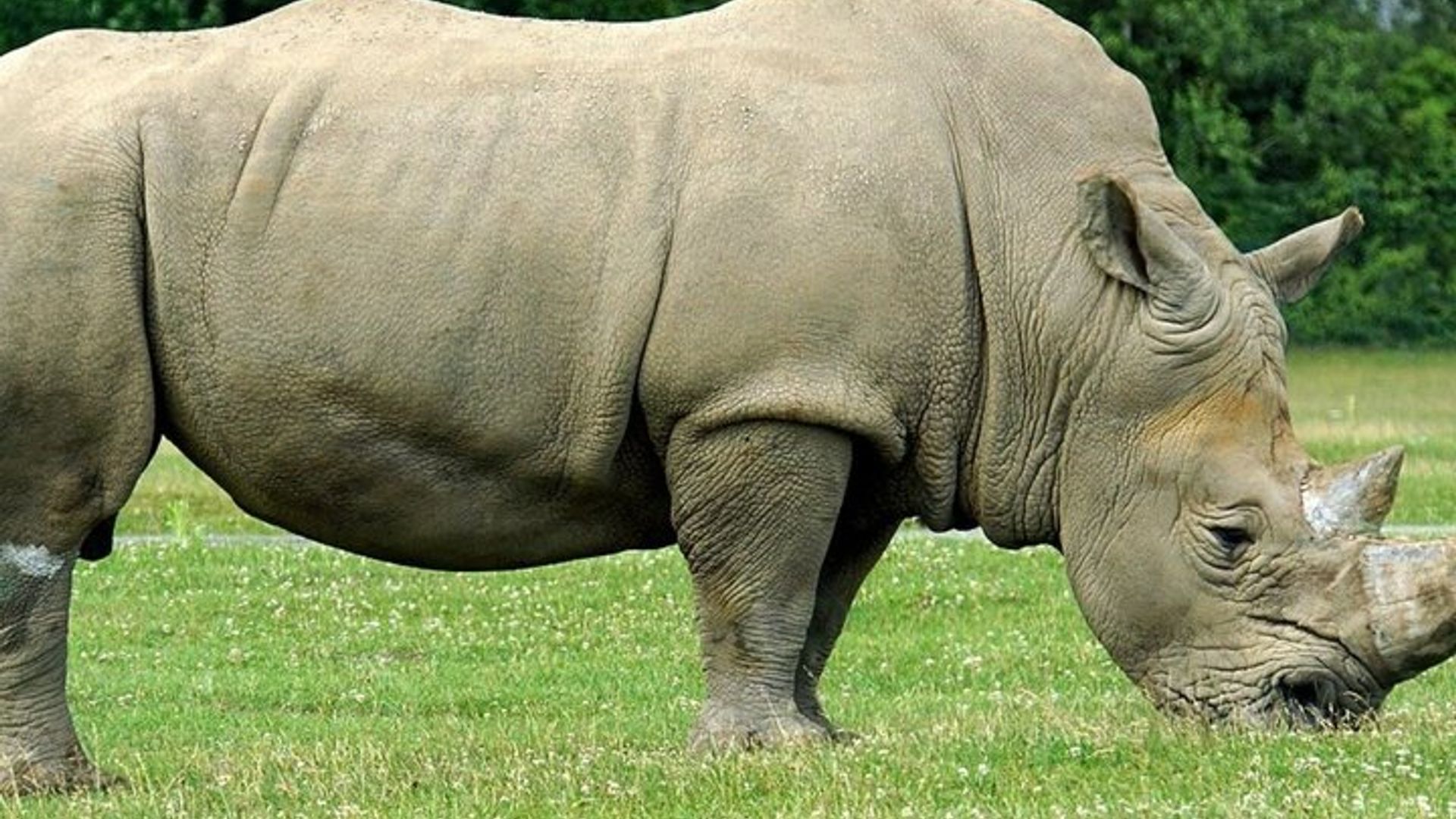 Safari en petit groupe de 4 jours au départ de CapeTown commence tous les jours