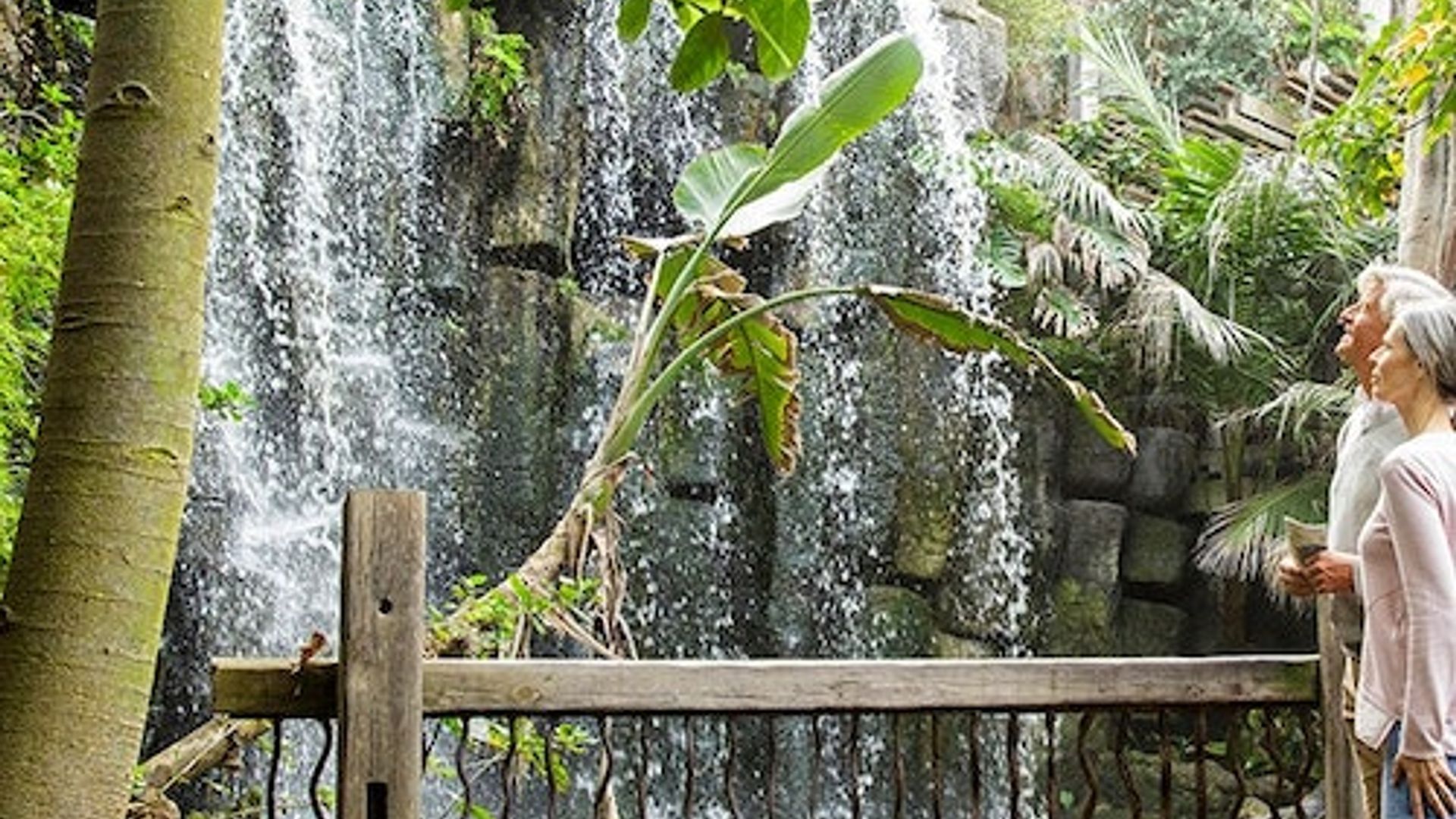 Palma Aquarium : Billet coupe-file + Cinéma 3D Aquadome en option