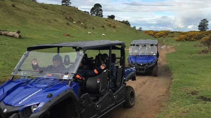 Rotorua Small-Group Off-Road 4WD Buggy Adventure