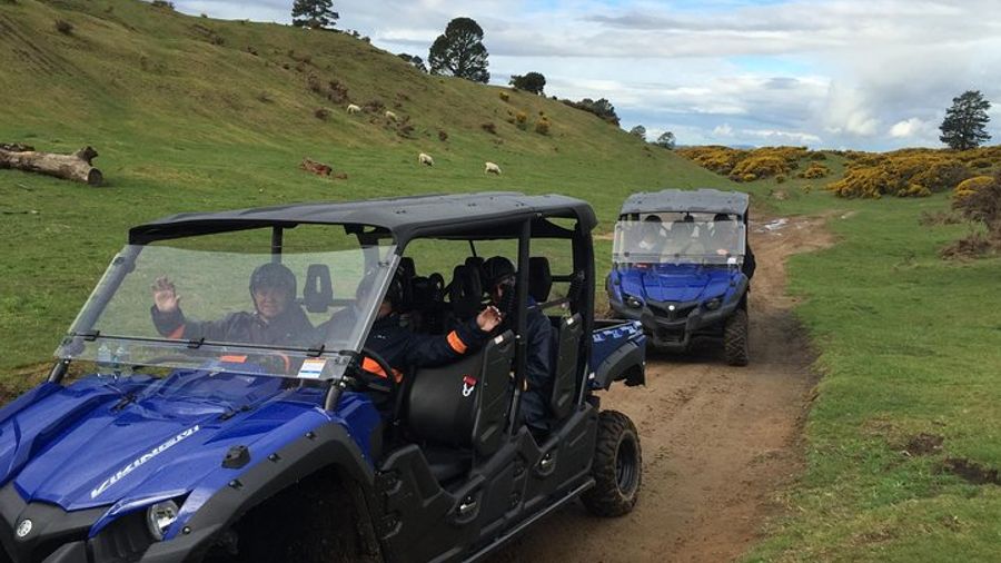 Rotorua Small-Group Off-Road 4WD Buggy Adventure