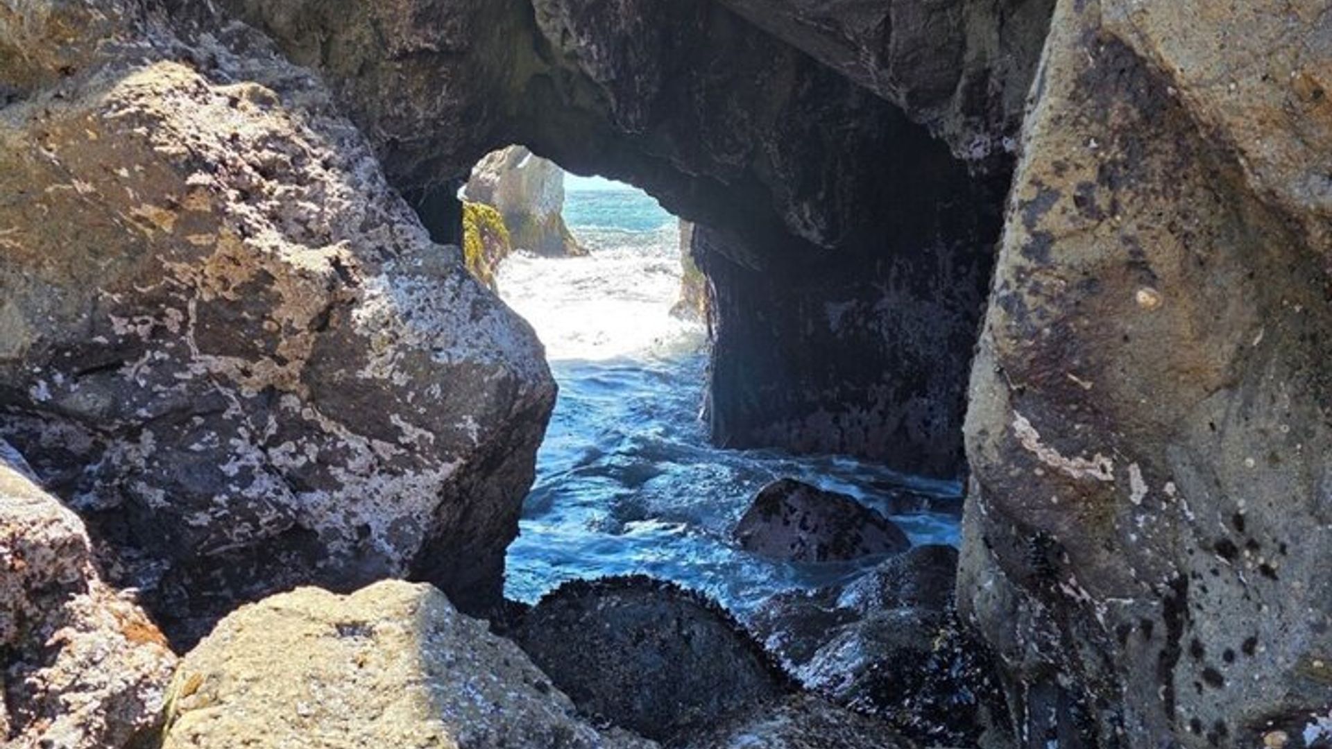 Big Sur McWay Falls opta por tour privado de 4 o 5 horas hasta 12 ppl