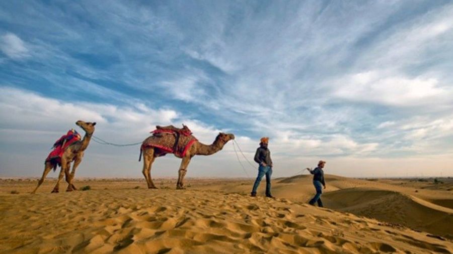 Jodhpur Private Tour With Temple and Optional Camel Ride