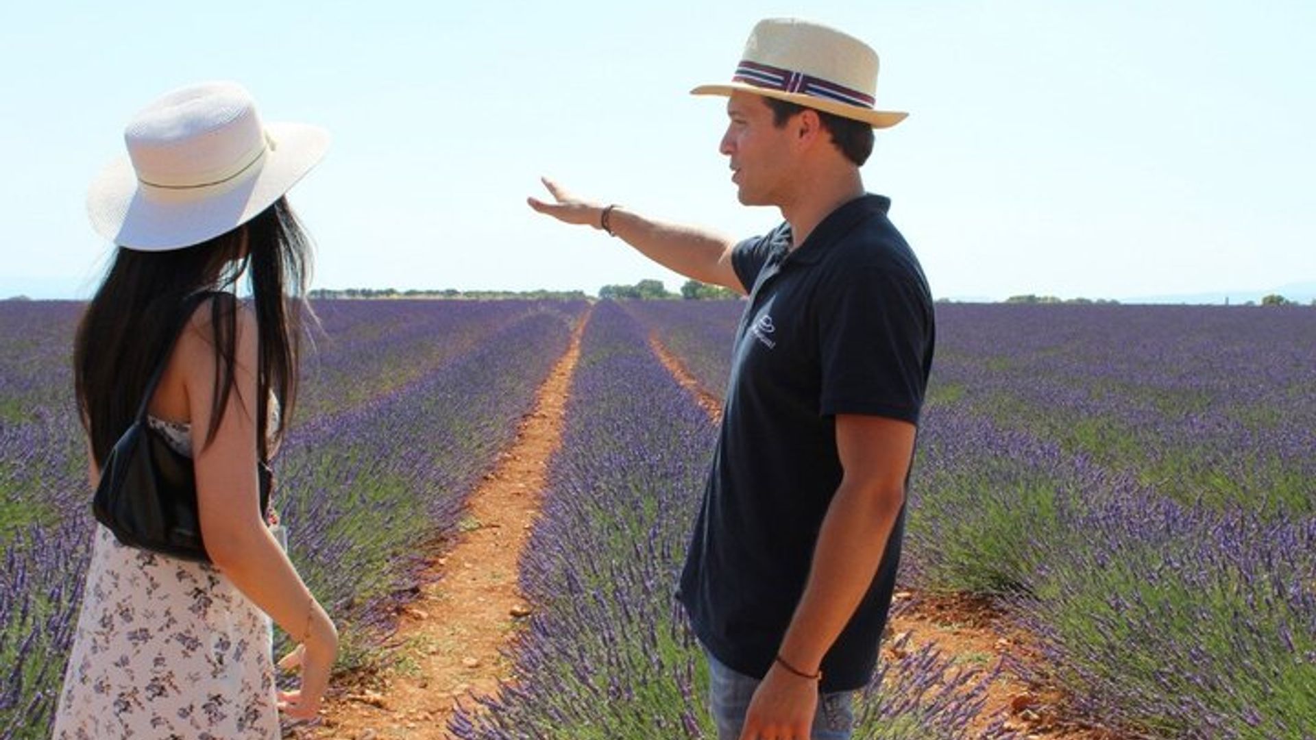 Excursion dans les champs de lavande de Provence au départ d'Aix-en-Provence