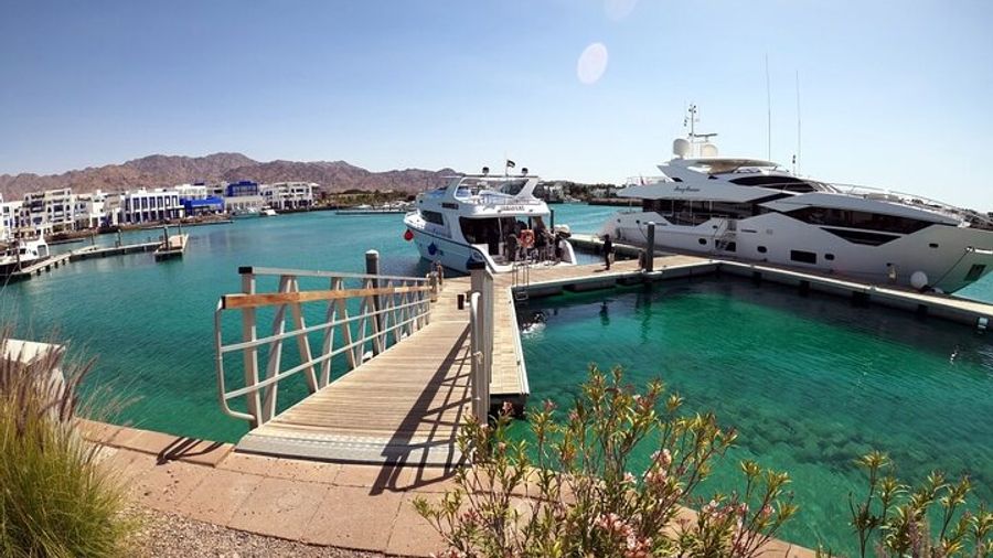 Aqaba Half-Day Guided Boat Dive with Lunch, Gear, and Photos