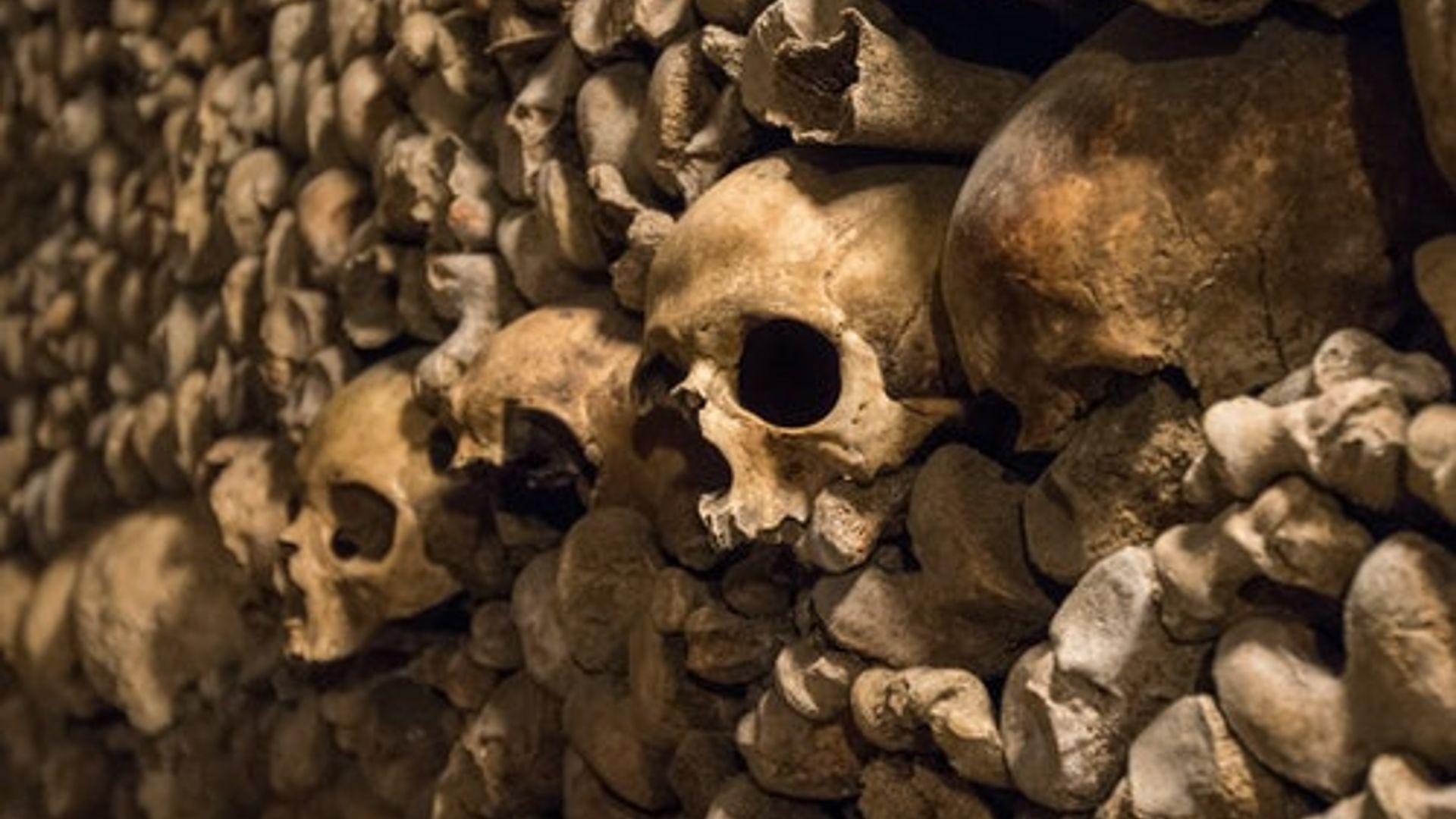 Catacombs of Paris & Audio Guide