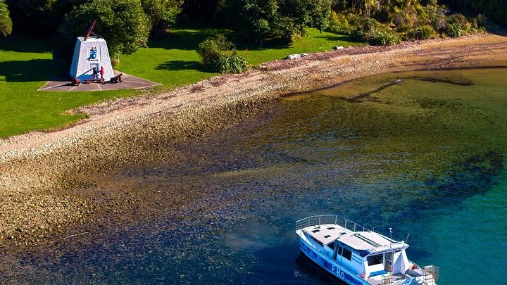 Queen Charlotte Sound Half-Day Wildlife-Watching Cruise