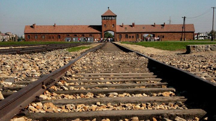 Auschwitz-Birkenau and Wieliczka Salt Mine Tour From Krakow