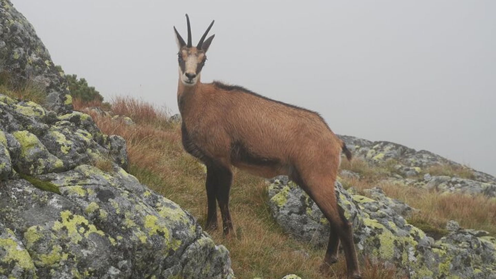 Private Hiking Tour Visit to Slovakia with Licensed Guide
