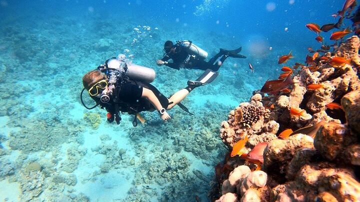 Aqaba Private Scuba Experience With No Certification Required