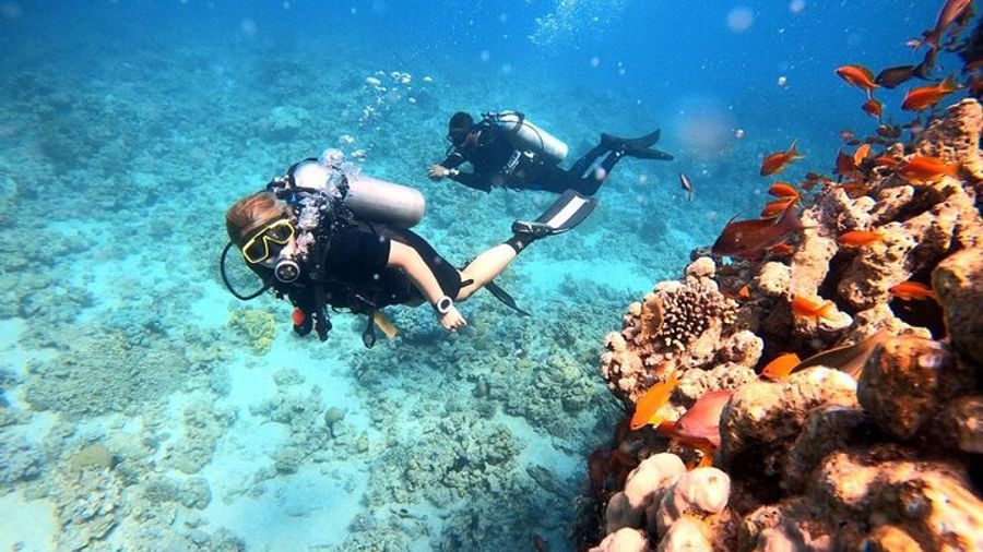 Aqaba Private Scuba Experience With No Certification Required