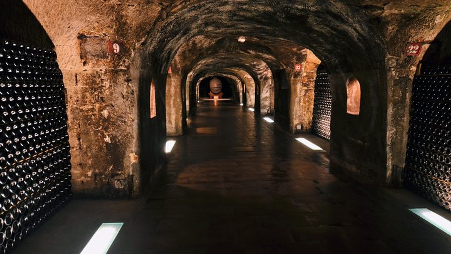Excursion d'une journée au Champagne au départ de Paris avec 8 dégustations et déjeuner