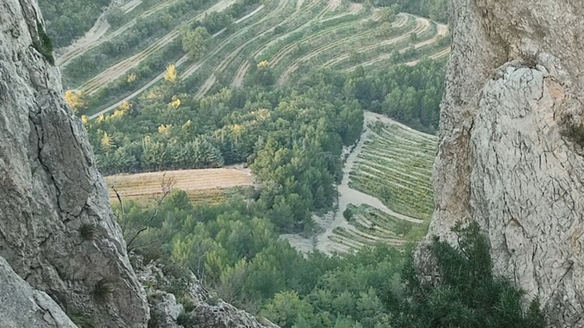 Drôme Côtes du Rhône Grignan Journée Géologie Terroir Vin
