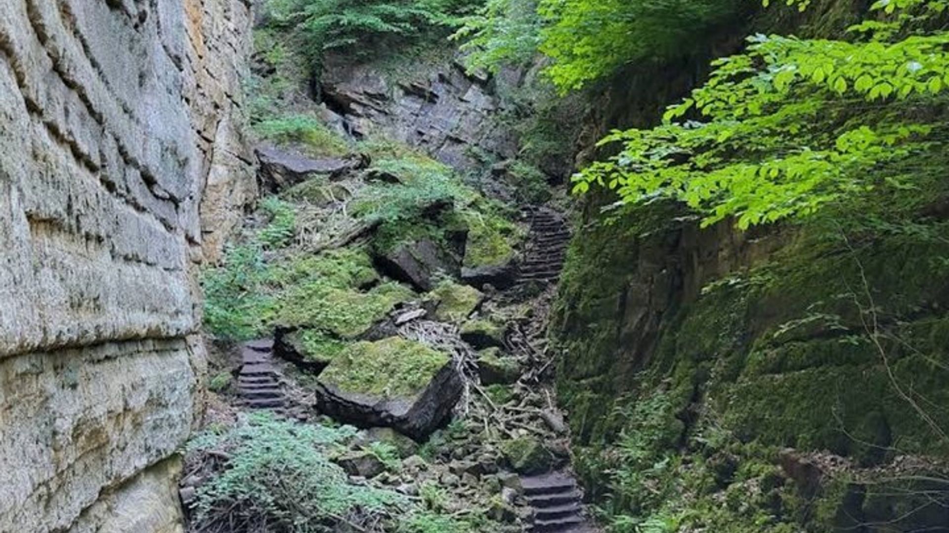 Mullerthal Walk: Berdorf Rocks, Clifftop Wine & the Wolf's Gorge