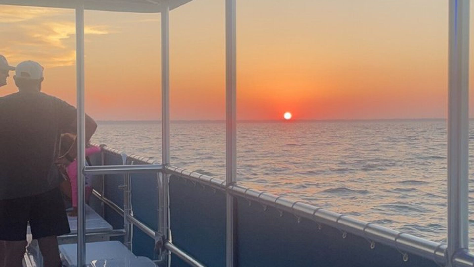 Crucero de observación de delfines al atardecer