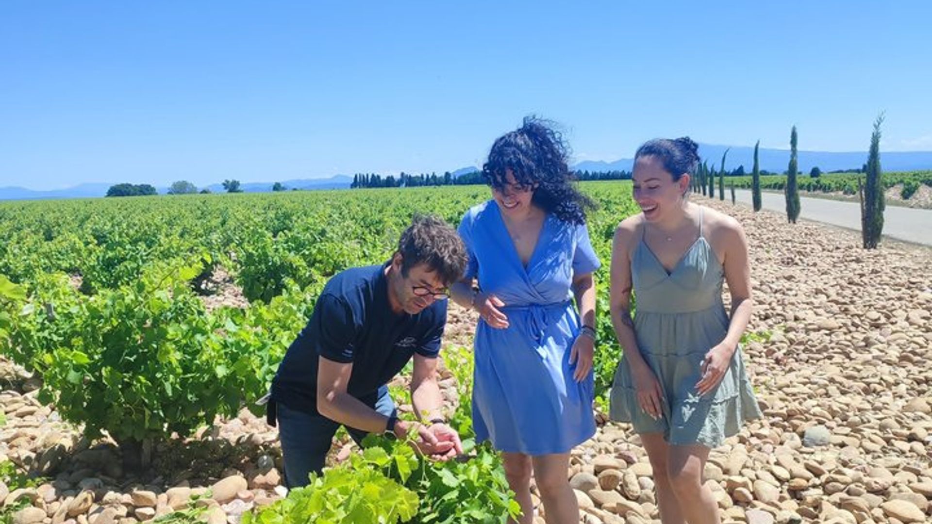 Chateauneuf du Pape Small-Group Wine Tasting Tour From Avignon