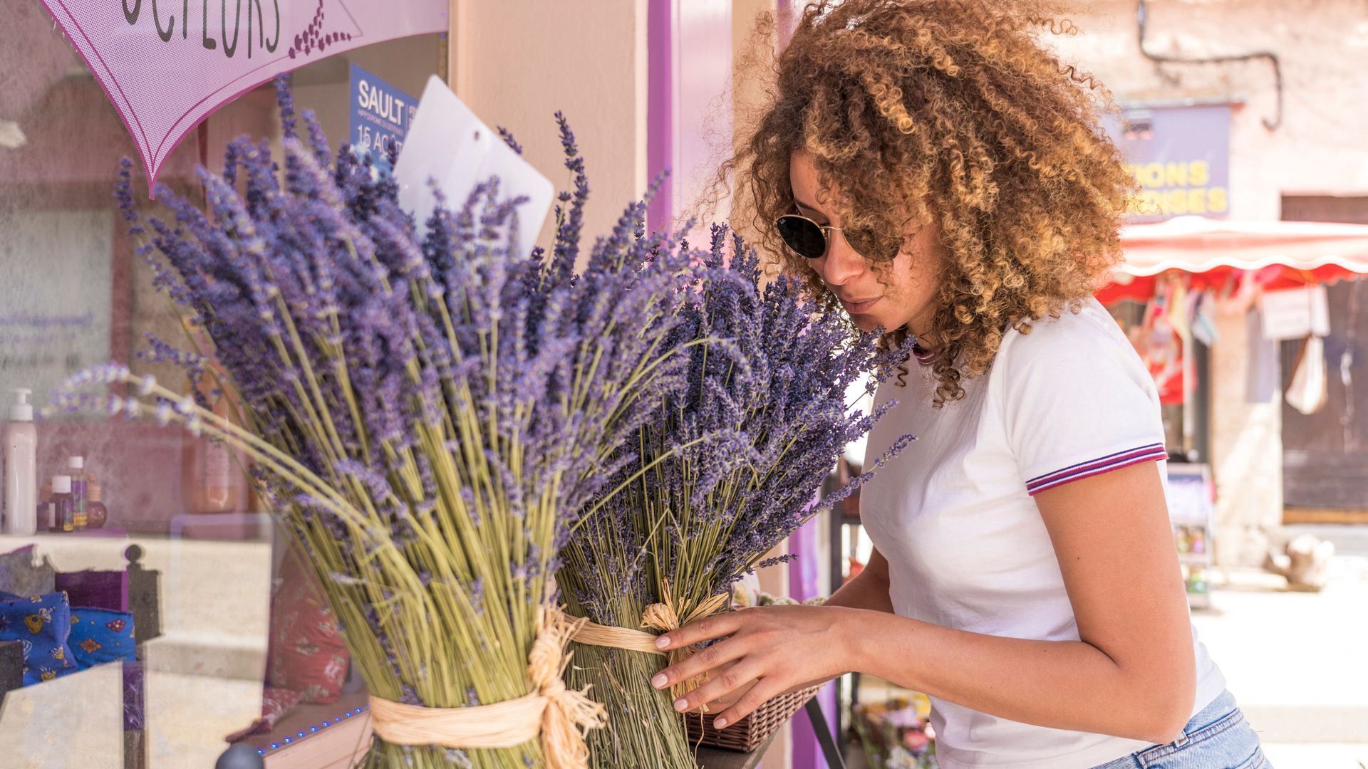 Visite matinale de lavande Sault