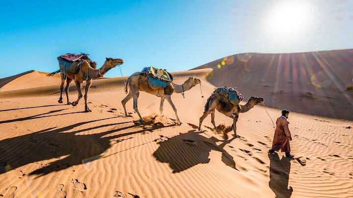 From Marrakech : 3 Days Desert Tour To Fes