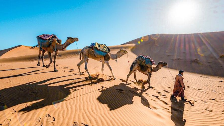 From Marrakech : 3 Days Desert Tour To Fes