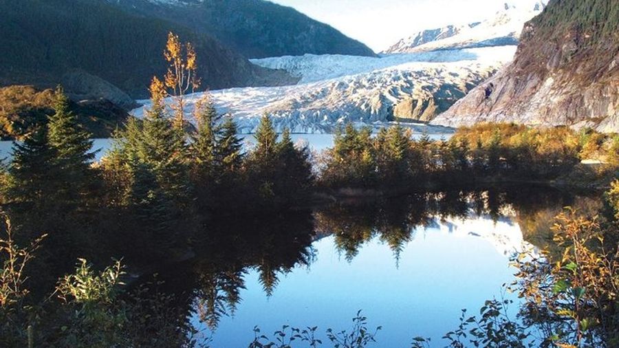 Juneau: Mendenall Glacier, Whale Watching Tour & Salmon Lunch