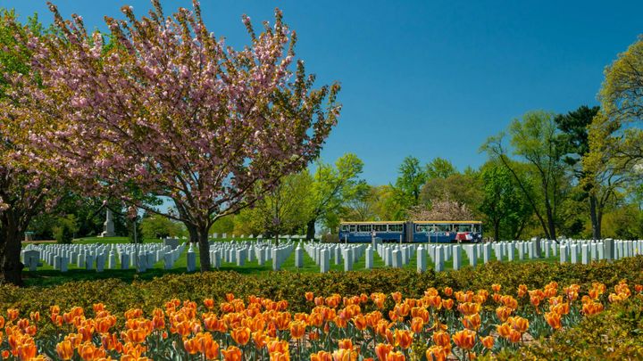 Arlington National Cemetery tour