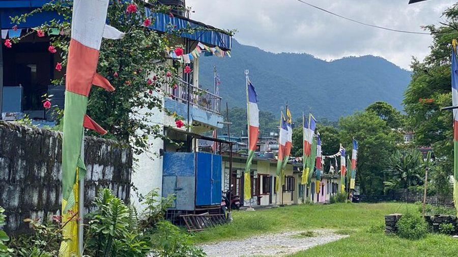 Full-Day Cultural Tour to Tibetan Village and Monastery