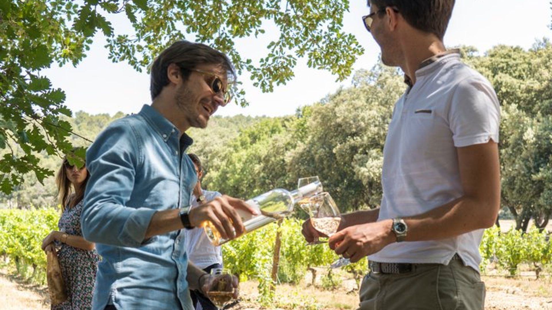Excursion viticole d'une demi-journée en Côtes de Provence
