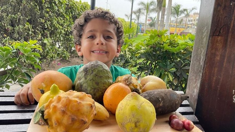 Lima: Peruvian Food and Market Group Tour