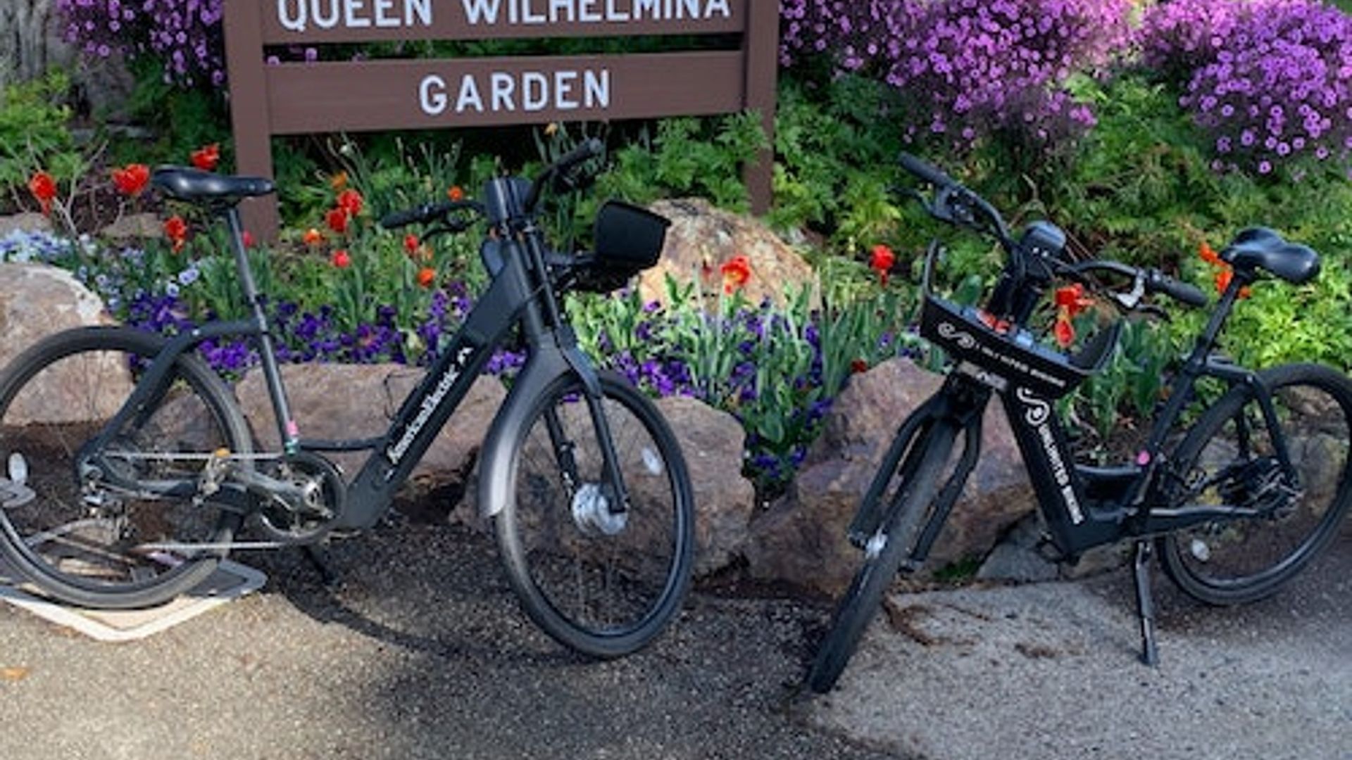 San Francisco: Golden Gate Park Electric Bike Rental image 3