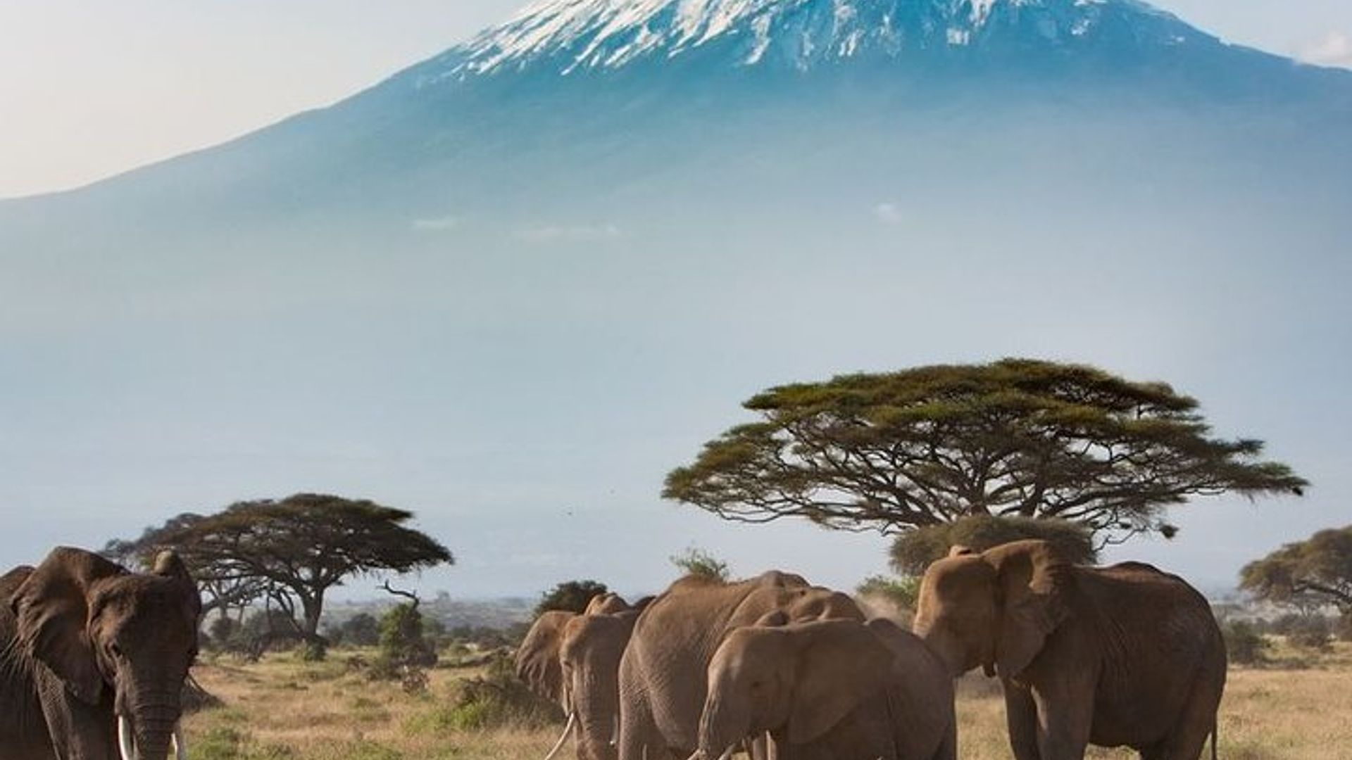 Private Transfer from Kigali to Kigali Airport (KGL)