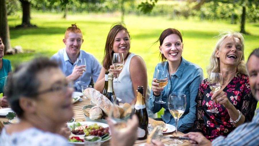 Marlborough Wineries Full-Day Tour From Picton