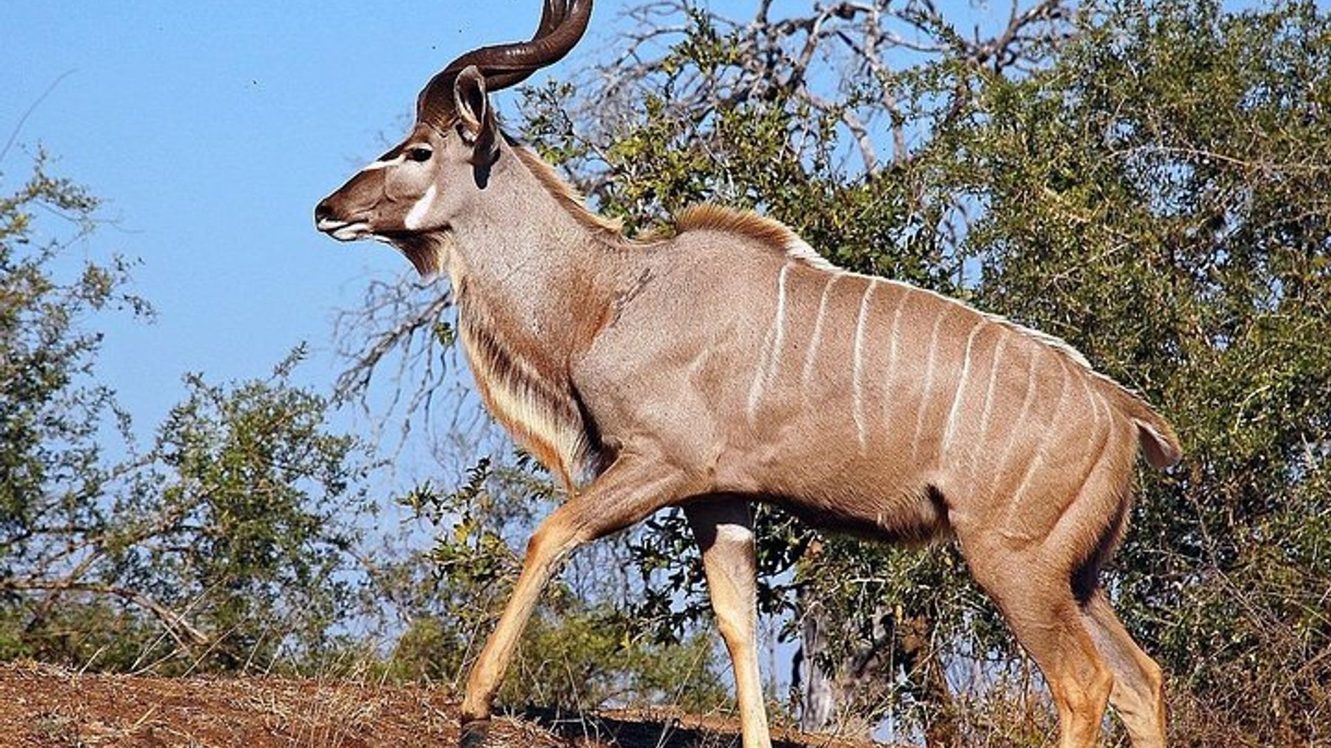 Johannesburg to Cape Town 10-Day Private Safari Tour