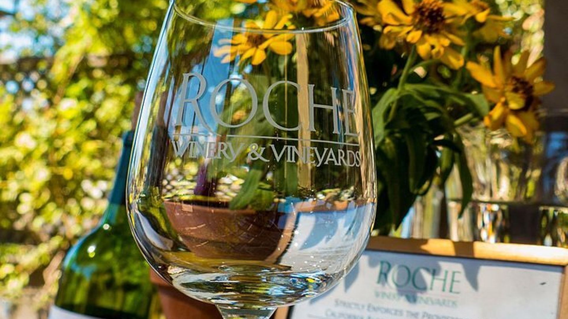 Half-Day Wine Tour Plus Hop-On Hop-Off Bus Pass image 2