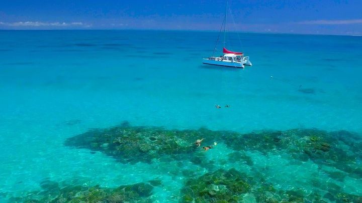 Great Barrier Reef Full-Day Snorkelling Tour from Cairns