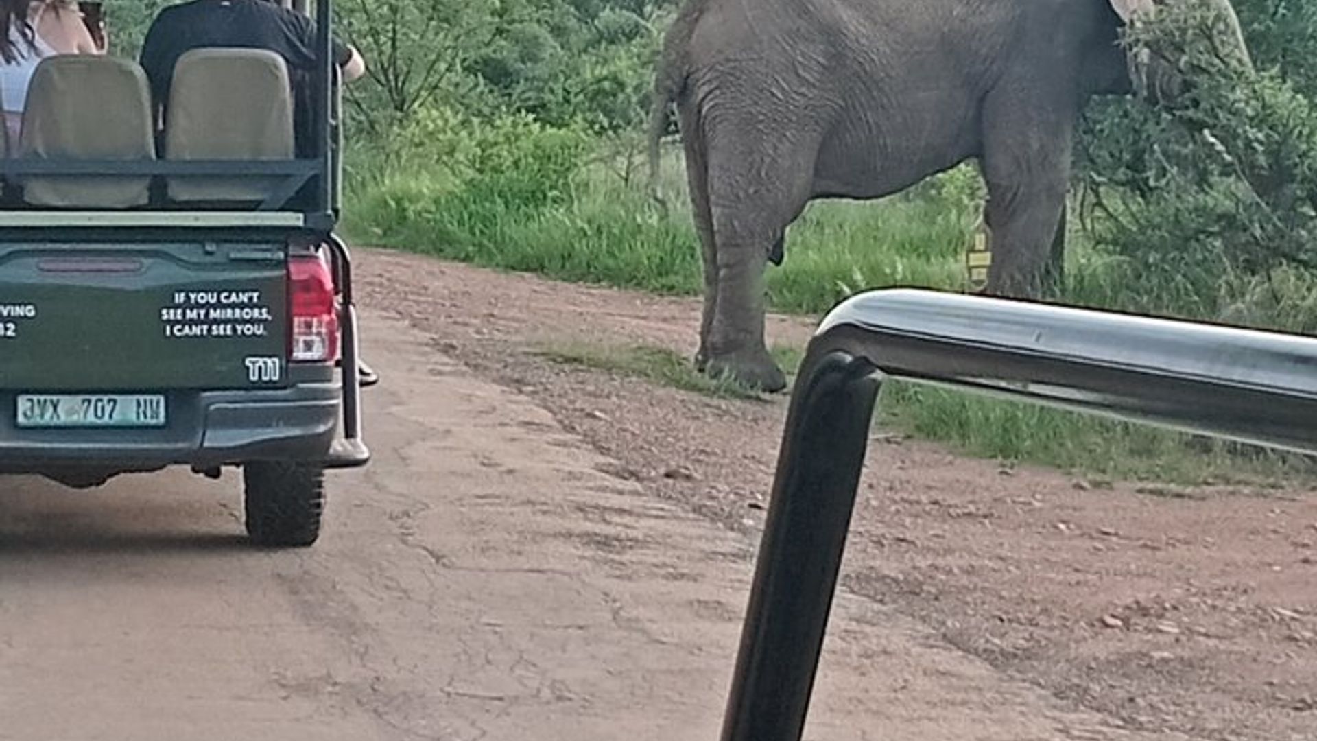 Parike ya Pilanesberg Igitondo cyangwa Saa sita