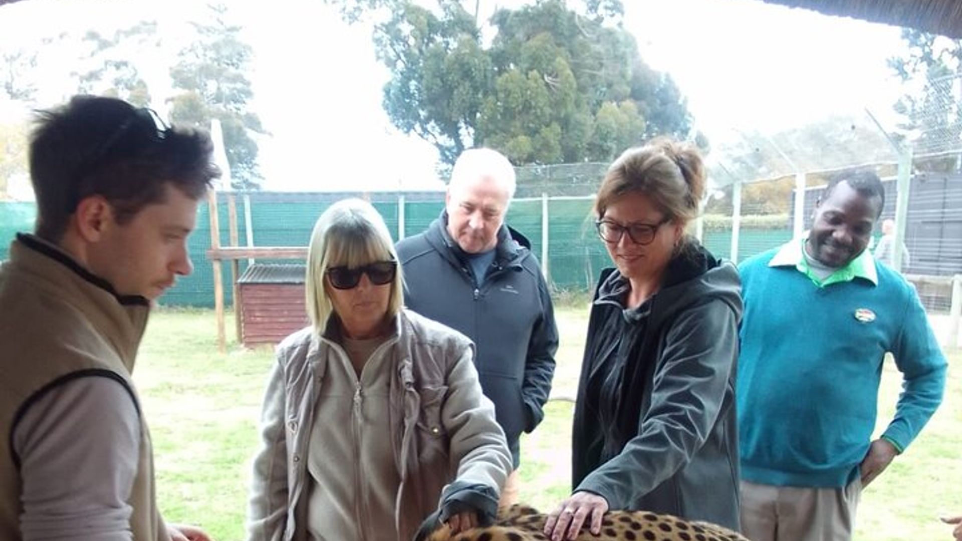 Cheetah Outreach, Gordon’s Bay, and Strand Beach Tour