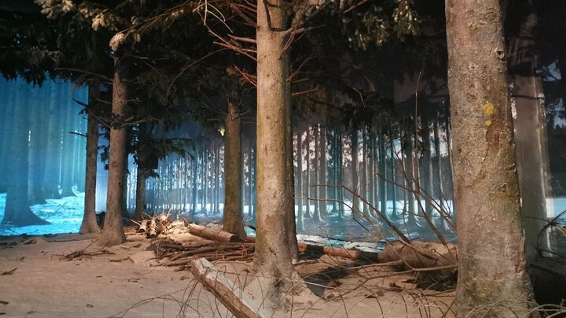 Bastogne World War II Tour ab Brüssel