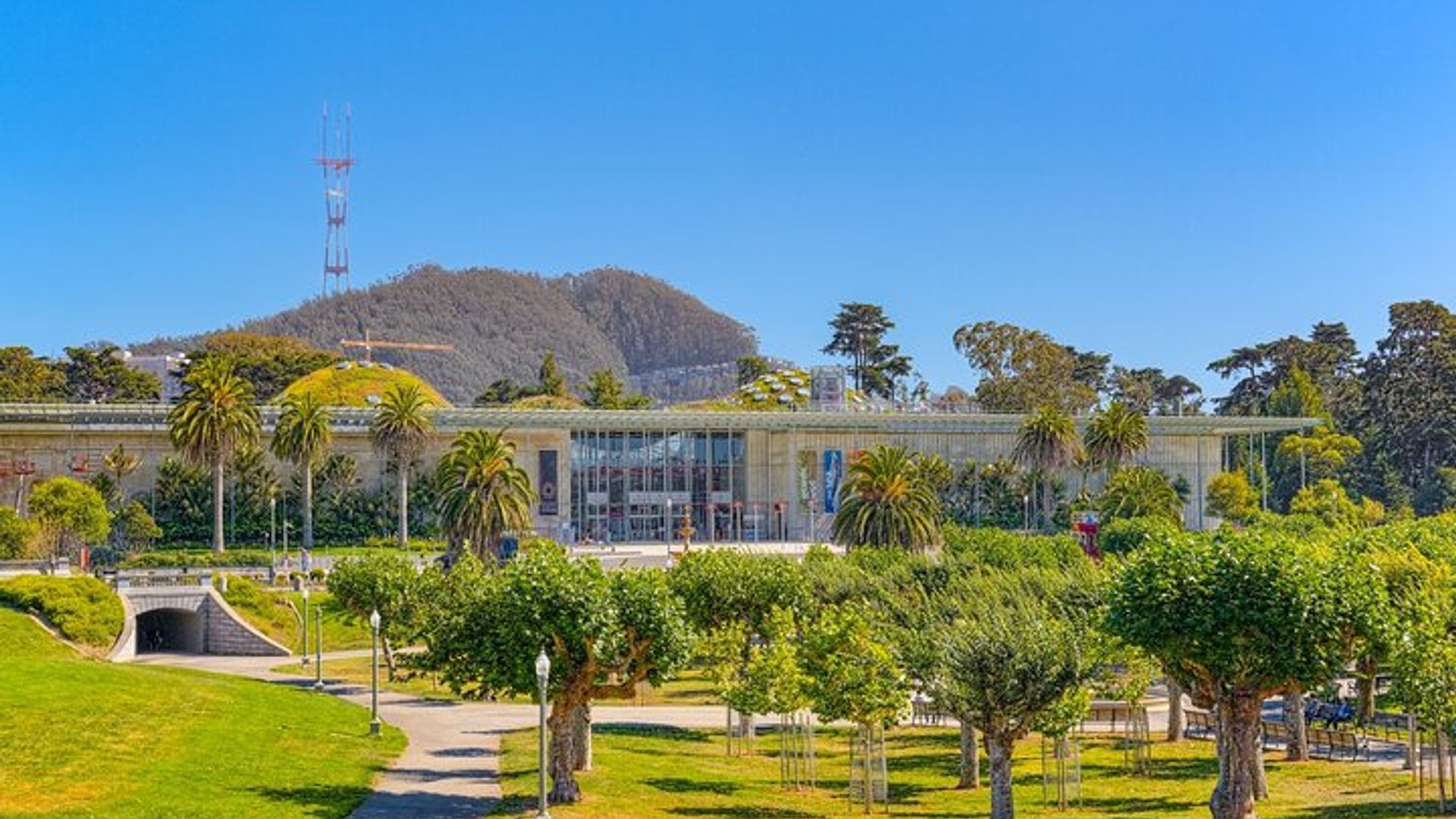 San Francisco California Academy of Sciences with Admission image 1