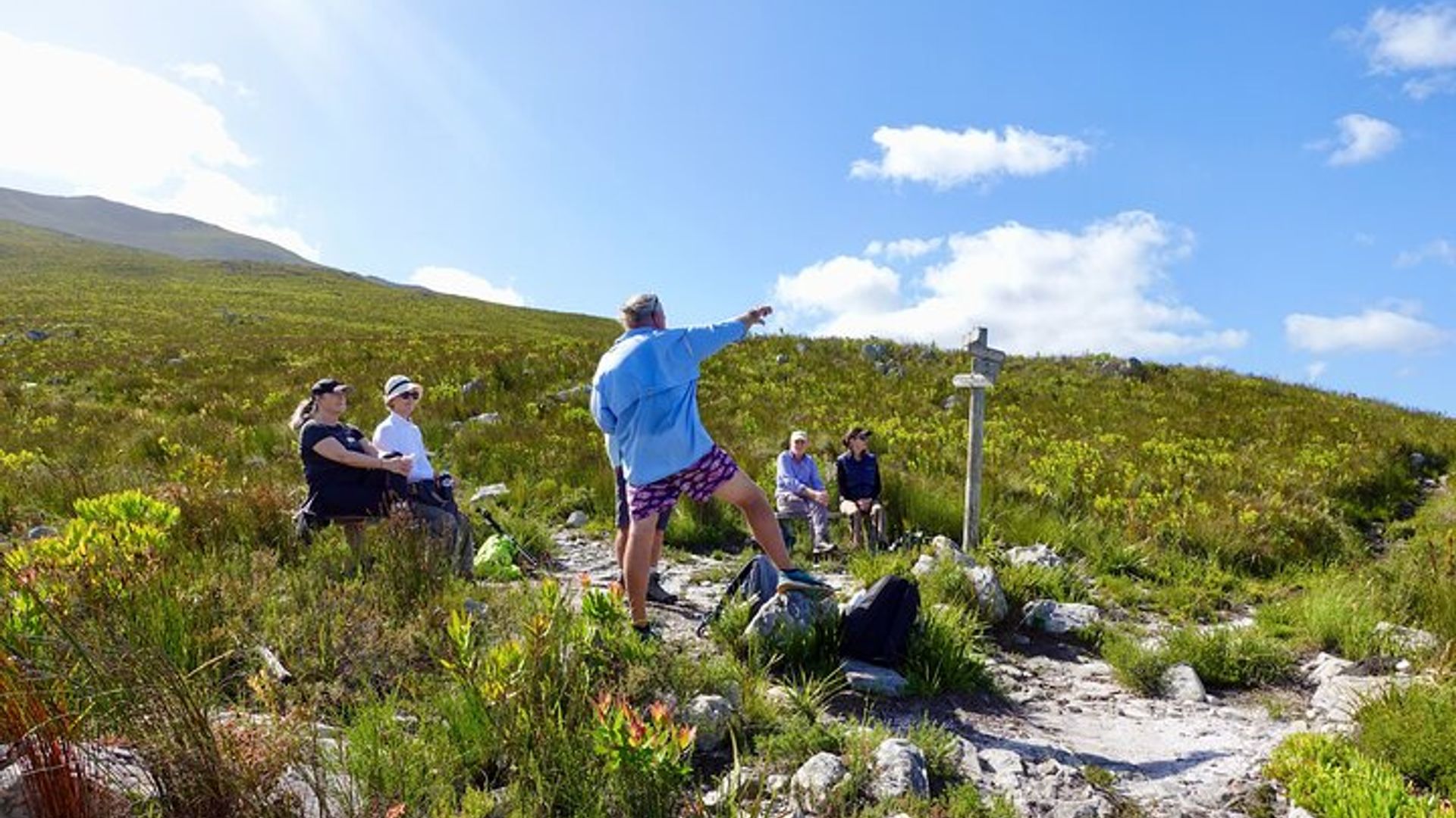 Hermanus geführte Naturausflüge