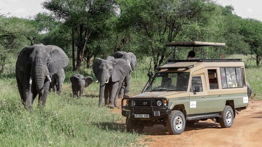 5-Day Ngorongoro Crater Serengeti And Tarangire Private Tour