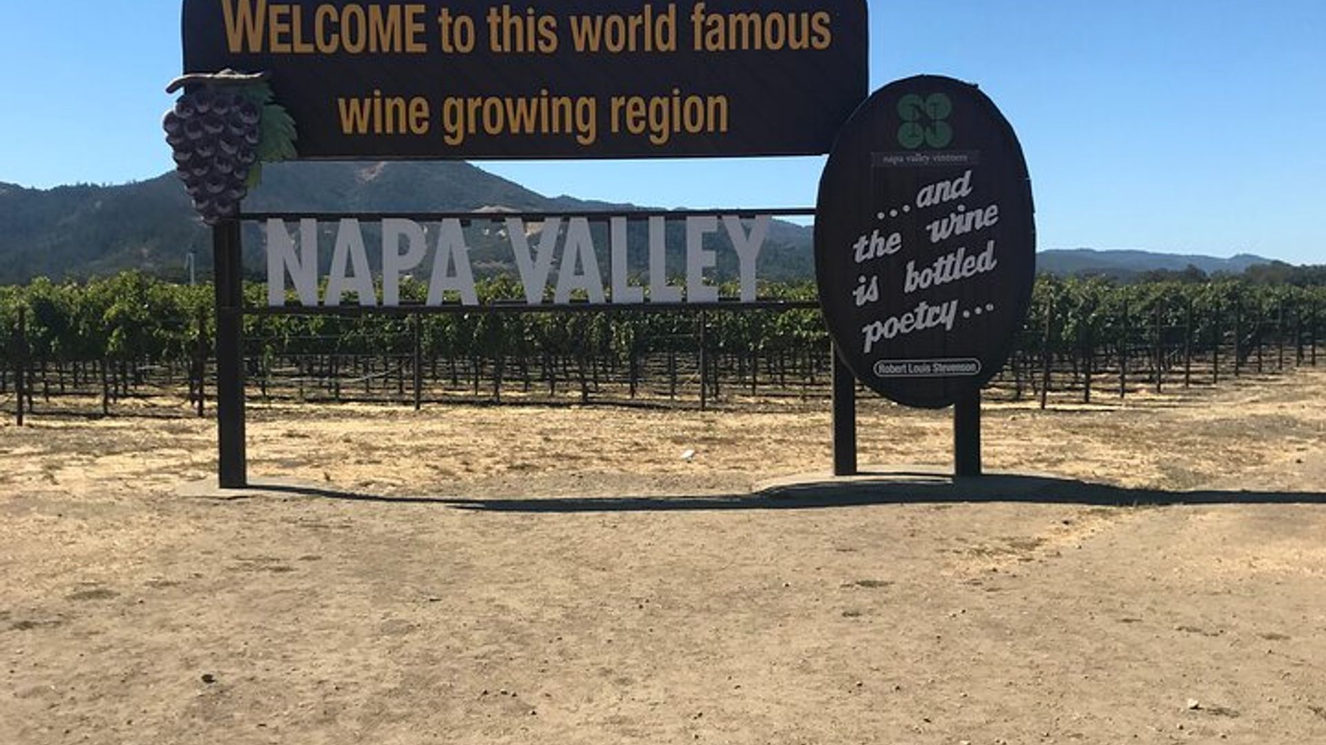 Napa Valley Tour from San Francisco in Mercedes Sprinter image 2