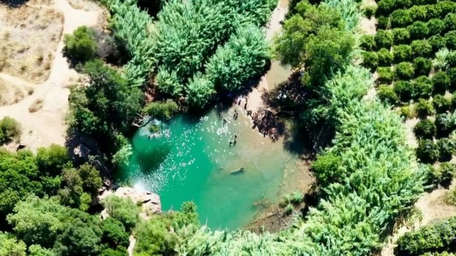 Tavira The Unhurried Algarve Flamingos Waterfall and Beach