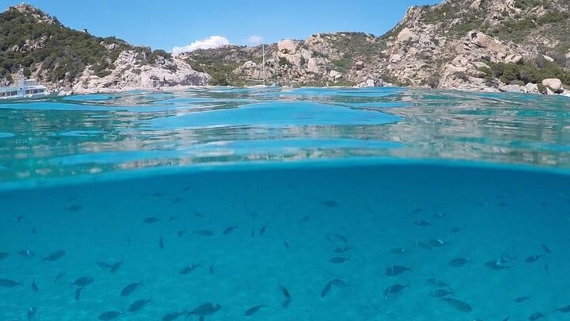 Tour en catamarán por el archipiélago de La Maddalena