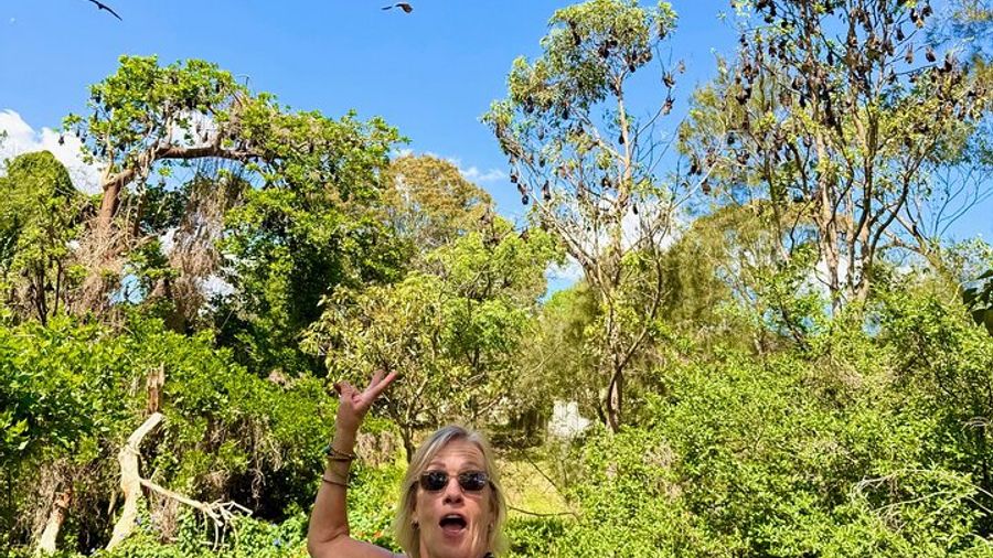 Sydney Small-Group Flying Fox Experience