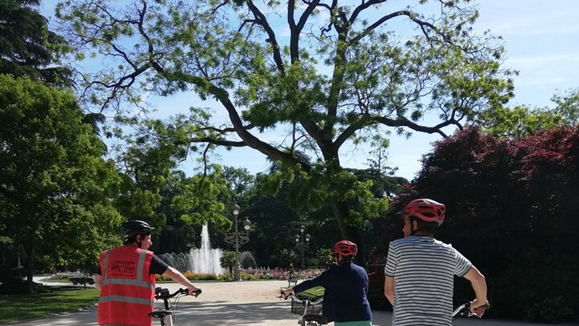 Tour di mezza giornata in piccoli gruppi: Giro in bicicletta a Tolosa e pranzo con degustazione di cibo