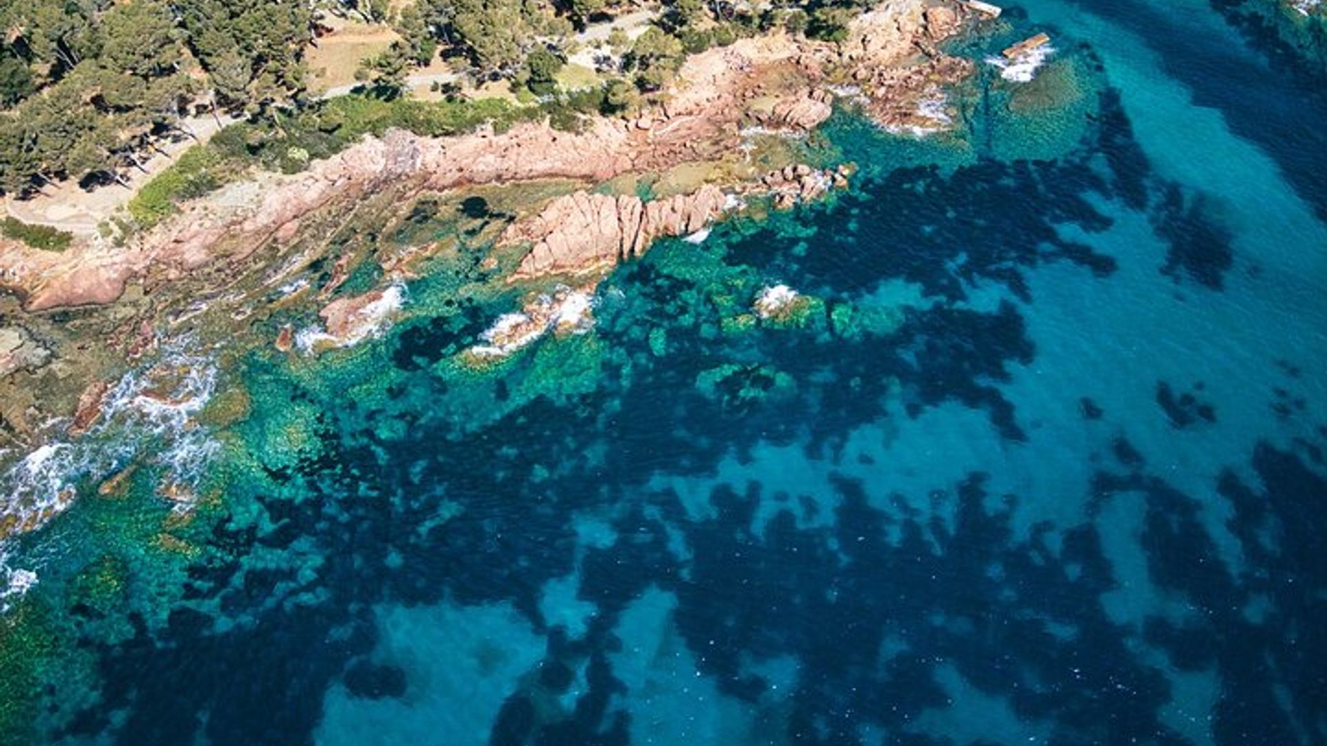 Excursión de un día de 7 horas a las islas Esterel y Lérins